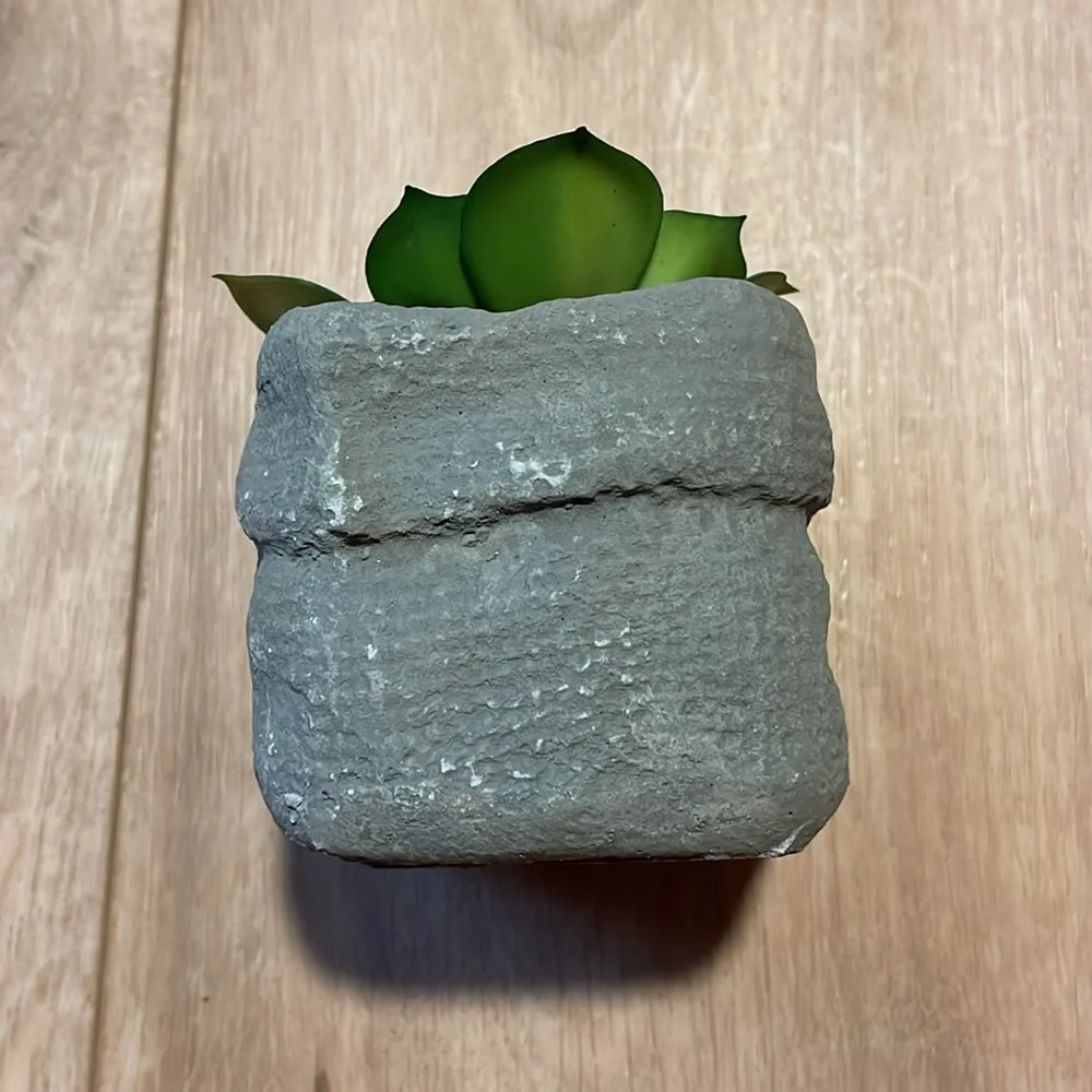 🌟Host Pick🌟Square Potted Faux Succulent